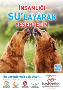 ilk-insanligi-sulayarak-yesertelim