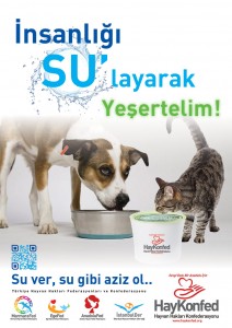 insanligi-sulayarak-yesertelim-2