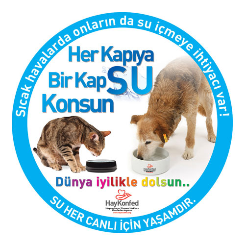 Sticker Mavi- Dünya İylikle Dolsun