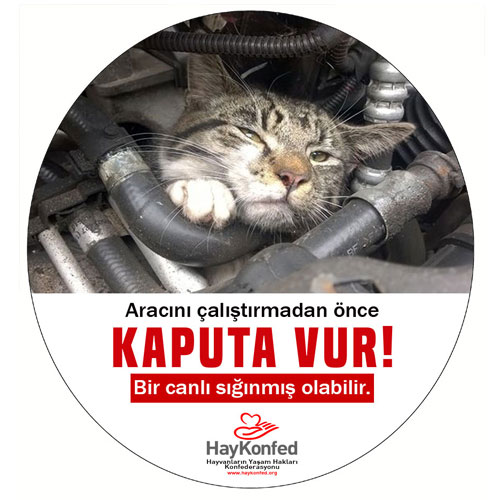 Sticker Kaputa Vur