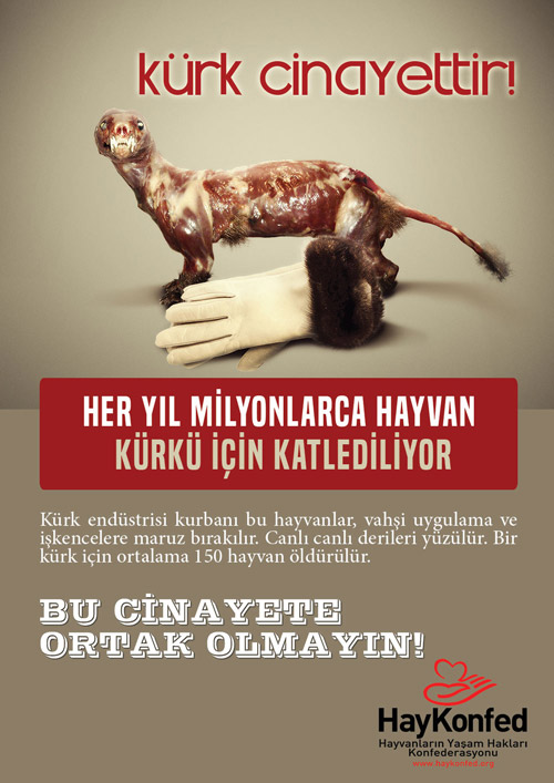 Kürke Hayır