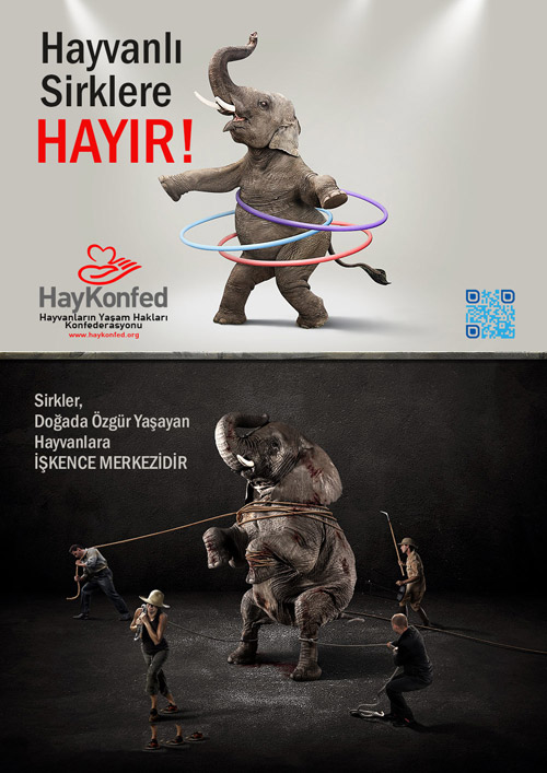 Sirklere Hayır