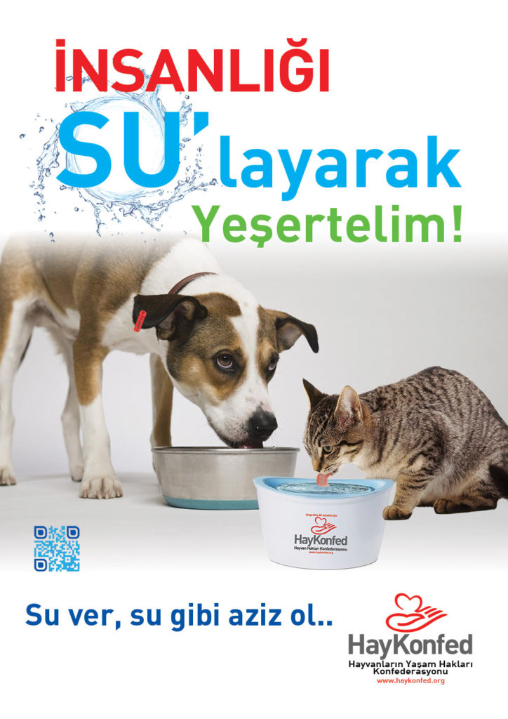 İnsanlığı Sulayarak Yeşertelim Broşür