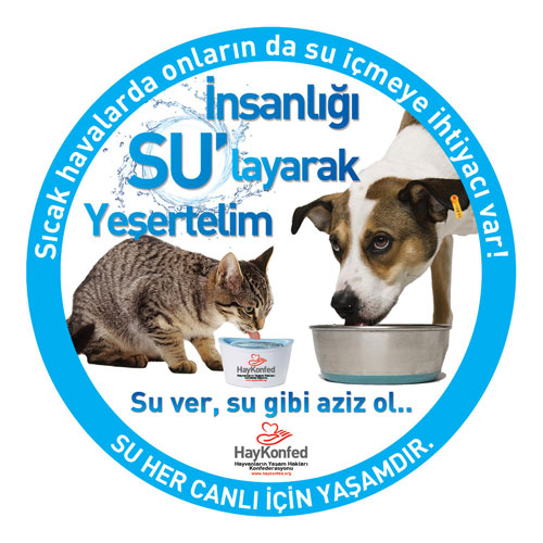 Sticker Mavi - İnsanlığı Sulayarak Yeşertelim