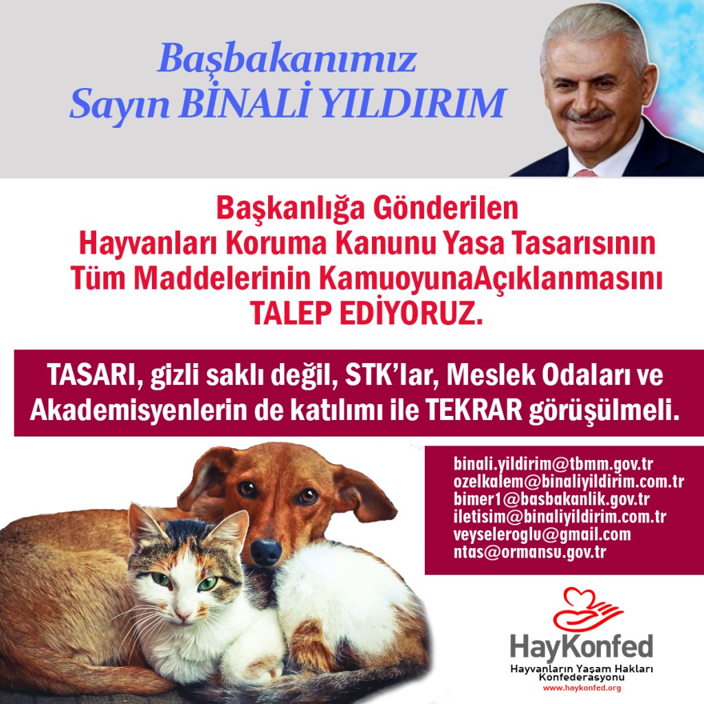 tasari_binali_yildirim