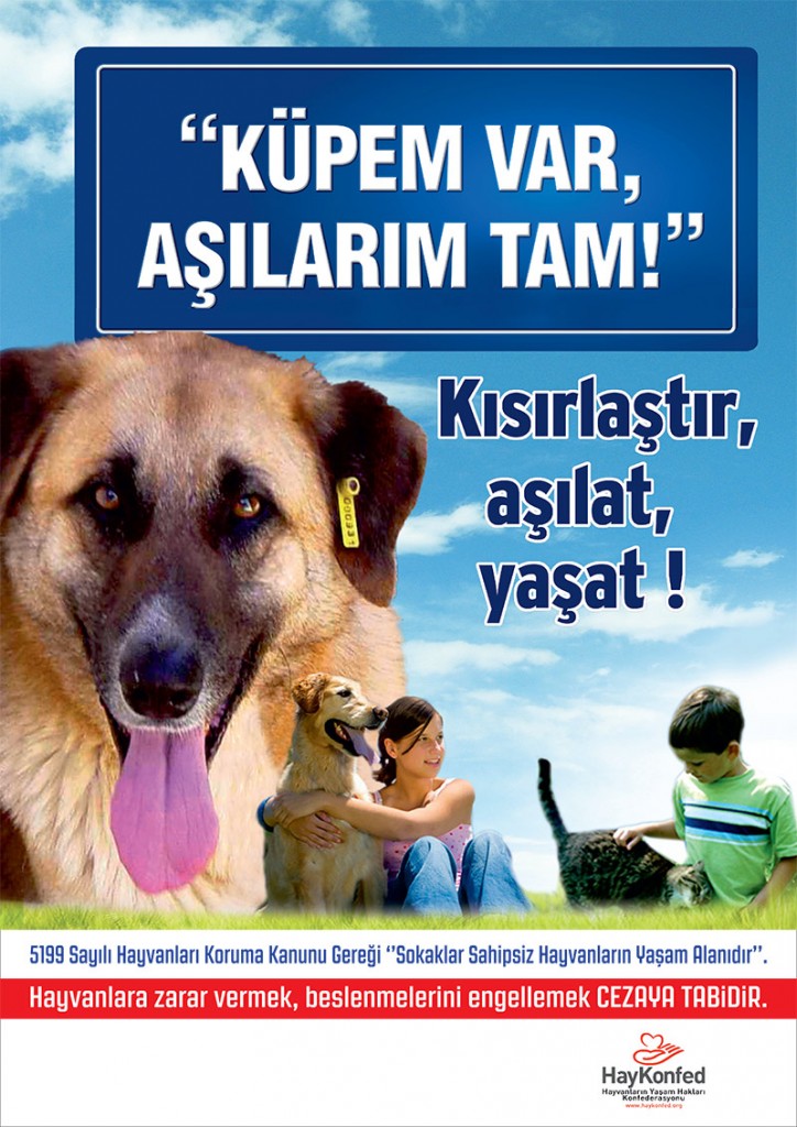 Küpem var aşılarım tam